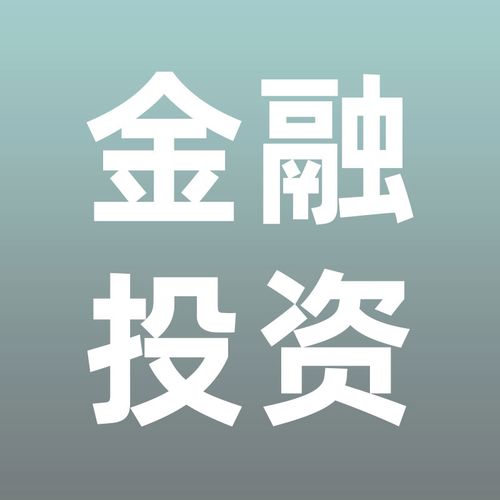 金融和投资会计财务分析组合风险管理资本市场理论方法咨询服务